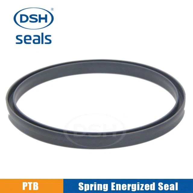 spring-energized seals