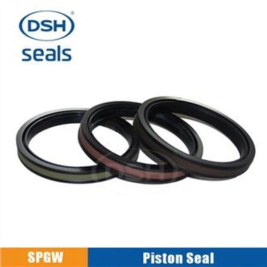 Piston Seal Ring SPGW