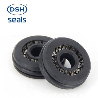 H Type PTFE Oil Seal
